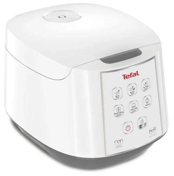 Unité/Carton/palette-Robot Cuiseur Mijoteur TEFAL RK7321F1 – Easy Rice