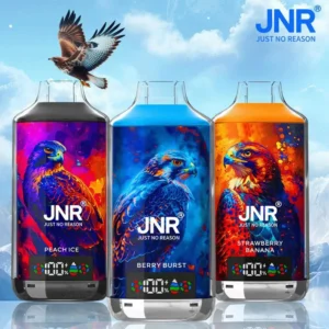 Carton de Cigarette électronique Jetable JNR Falcon X 18000 Bouffées Vape – Vente Uniquement en Lot de 200 Unités (Minimum de Commande)