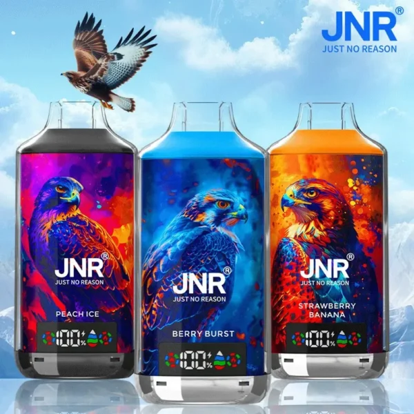 Carton de Cigarette électronique Jetable JNR Falcon X 18000 Bouffées Vape – Vente Uniquement en Lot de 200 Unités (Minimum de Commande)