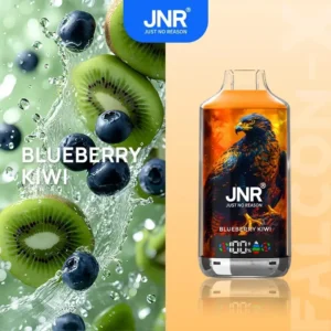 Carton de Cigarette électronique Jetable JNR Falcon X 18000 Bouffées Vape – Vente Uniquement en Lot de 200 Unités (Minimum de Commande)